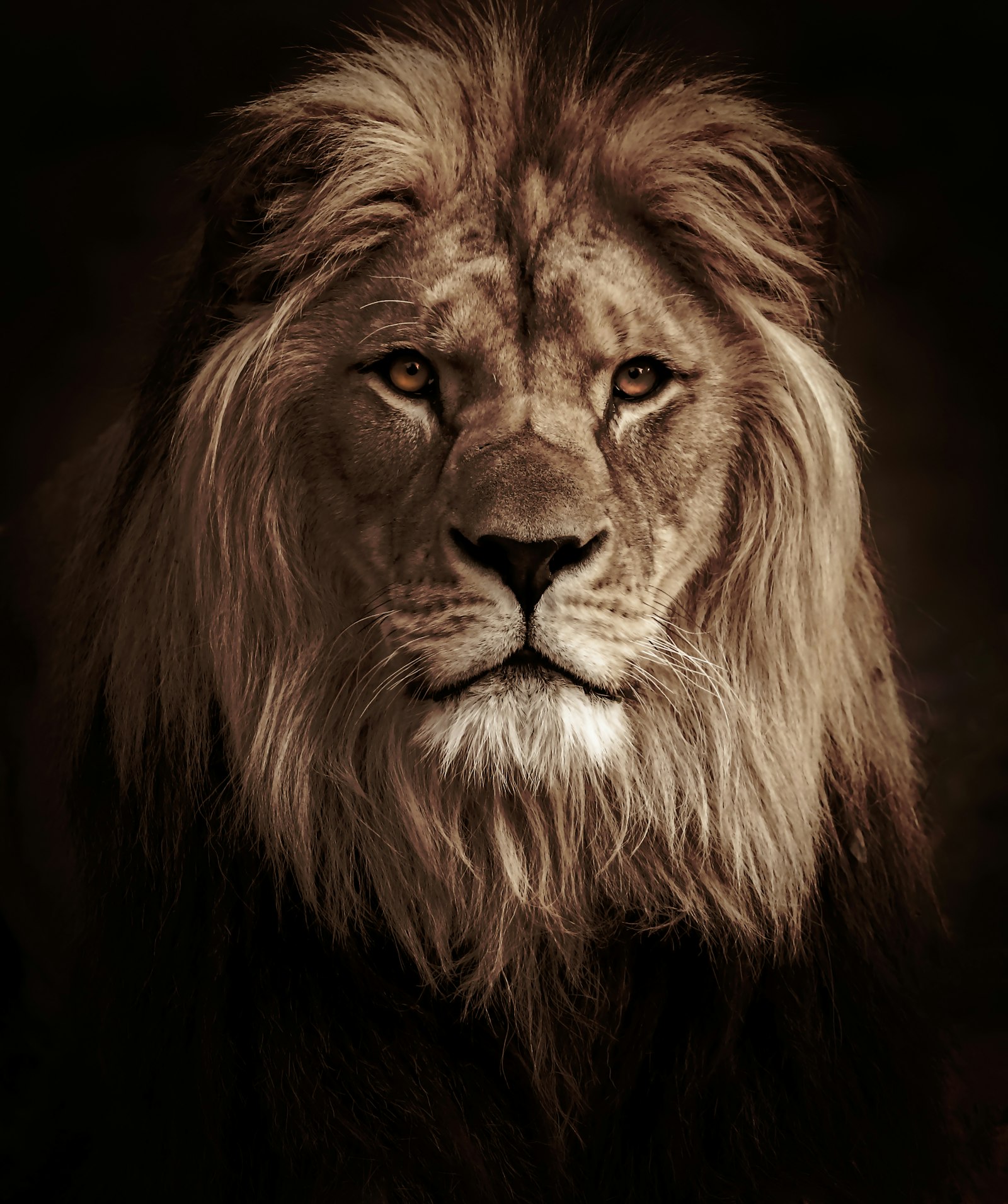 Where the wild things reign