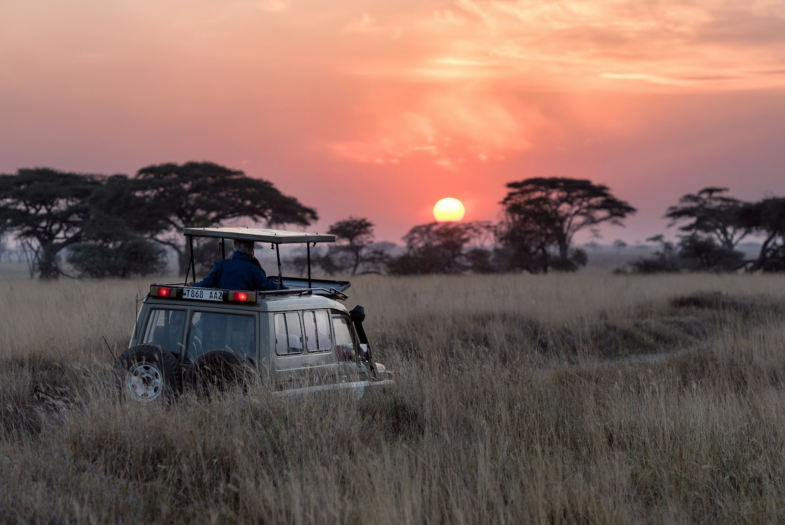 Chase the Great Migration